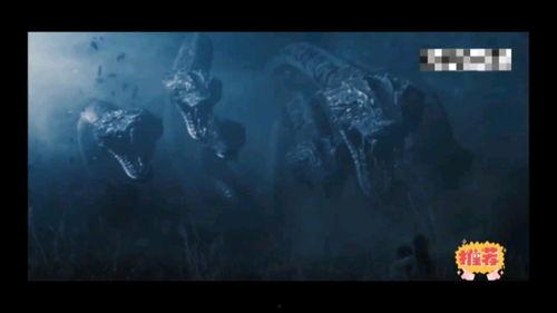 国产特效鬼片视频,国产特效鬼片惊悚揭秘