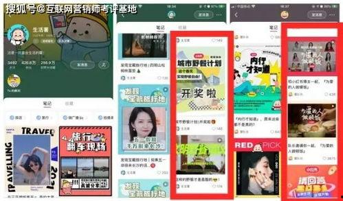 水莓100号国产免费视频,国产免费视频中的清新之选