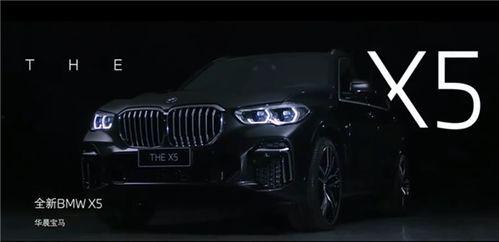 国产宝马直播视频在线看,尽享科技与艺术的完美融合