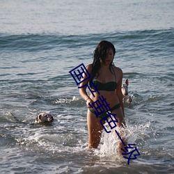 国产带黄一级视频,揭秘隐秘角落的激情与诱惑