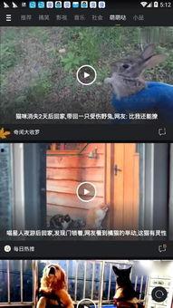 手机国产微拍在线视频