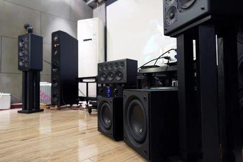 丹尼尔低音炮原视频国产,国产生态下的音乐盛宴