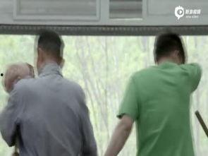 国产乱老视频在线观看,揭秘网络乱象背后的真相与反思