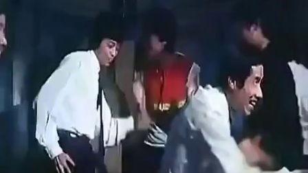 国产乱老视频在线观看,揭秘网络乱象背后的真相与反思