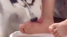 国产舔脚视频在线网址,带你领略独特文化魅力  第3张