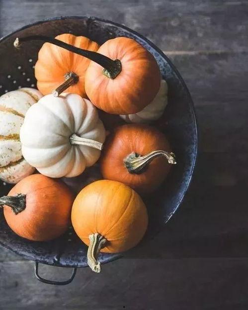 国产南瓜介绍大全视频播放,视频详解与种植技巧 第1张 国产南瓜介绍大全视频播放,视频详解与种植技巧 第1张