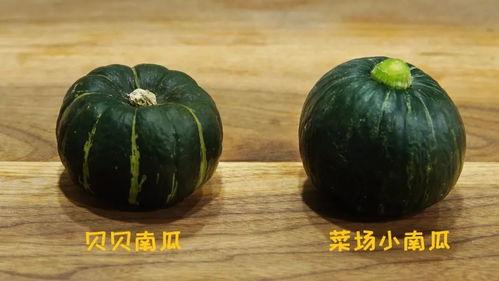 国产南瓜介绍大全视频播放,视频详解与种植技巧 第2张 国产南瓜介绍大全视频播放,视频详解与种植技巧 第2张