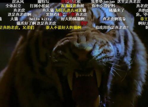 国产电视剧老虎特效视频  第1张