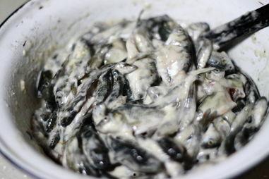 国产小鱼怎么吃好吃视频,视频教你如何烹饪出鲜嫩佳肴
