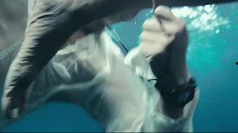 国产高清视频色拍,色彩斑斓的视觉盛宴  第1张