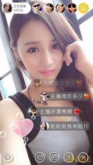 国产日本六九视频不卡