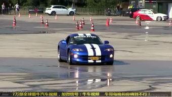 国产牛车最新视频在线