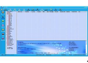 国产手机管理视频软件,守护隐私，畅享智能生活