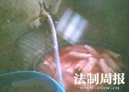 国产猪蹄注水视频大全集,视频大全集深度剖析