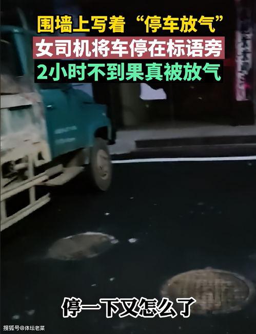 国产木工车视频  第3张