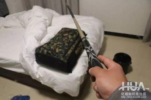 国产鱼竿 测评视频,性能与性价比的深度解析  第2张