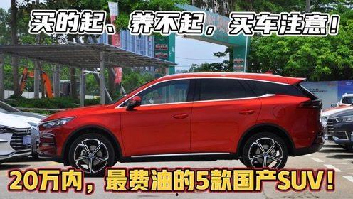 三万内的国产车收车视频,性价比之选一览无余